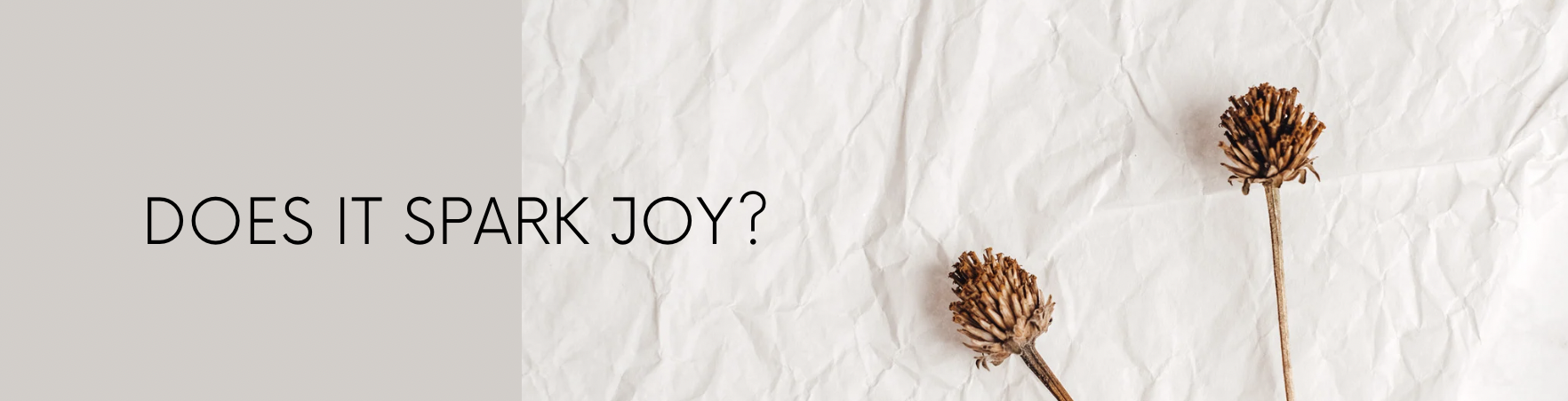 Does it spark joy?