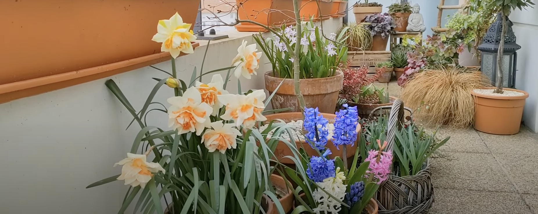 Relookez votre terrasse en la Végétalisant