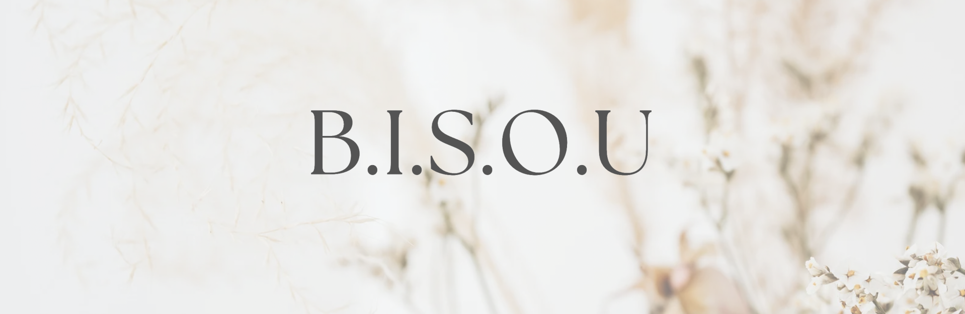 Introduction à la méthode BISOU : Comment consommer de manière éclairée et responsable